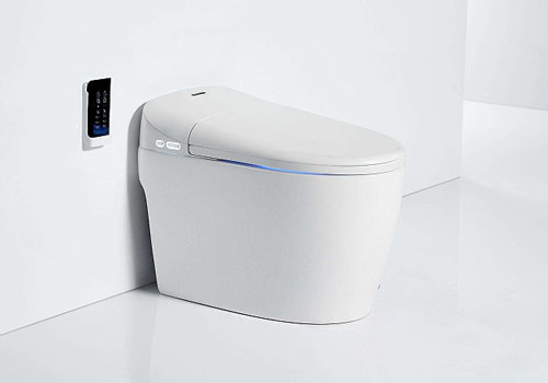  Smart Toilet